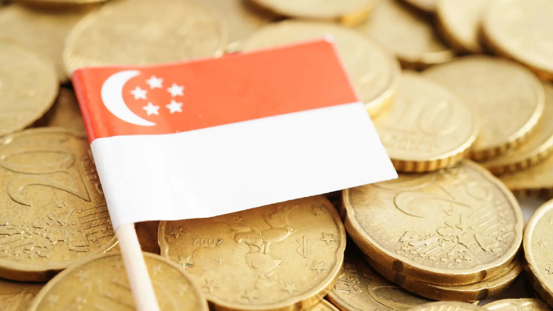 Singapore flag on a pile of coins, representing government grants for AI adoption in Singapore